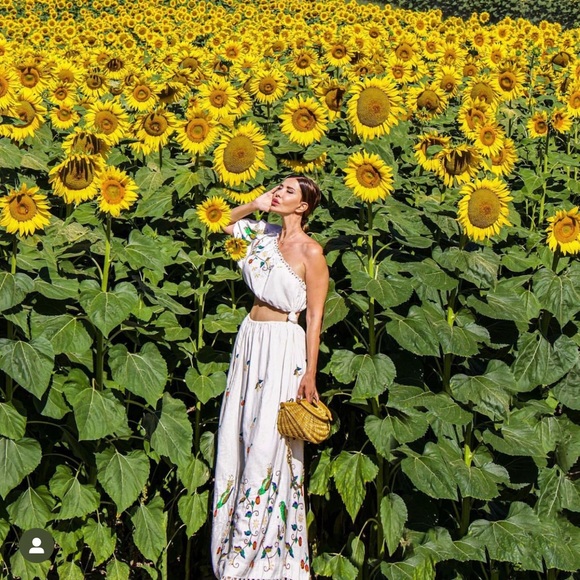 FARM RIO Embroidered One Shoulder Cutout Linen Dress - Picture 2 of 4